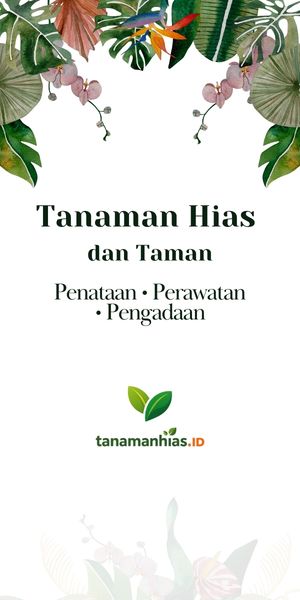 tanaman hias jakarta
