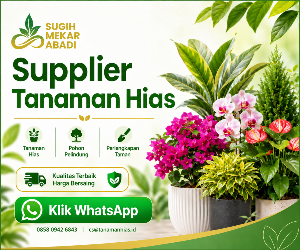 banner tanaman hias sugih mekar abadi banner tanaman hias sugih mekar abadi