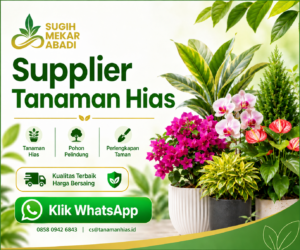 banner tanaman hias sugih mekar abadi