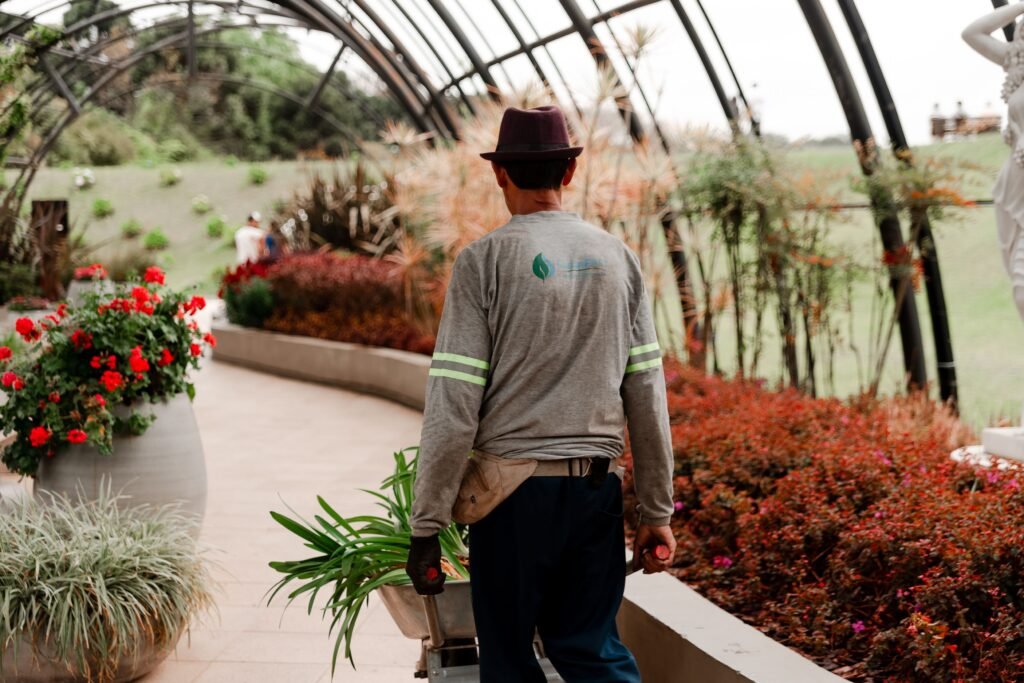 pexels-photo-34174890-34174890 A gardener tends to plants in a vibrant botanical garden under an arched structure.
