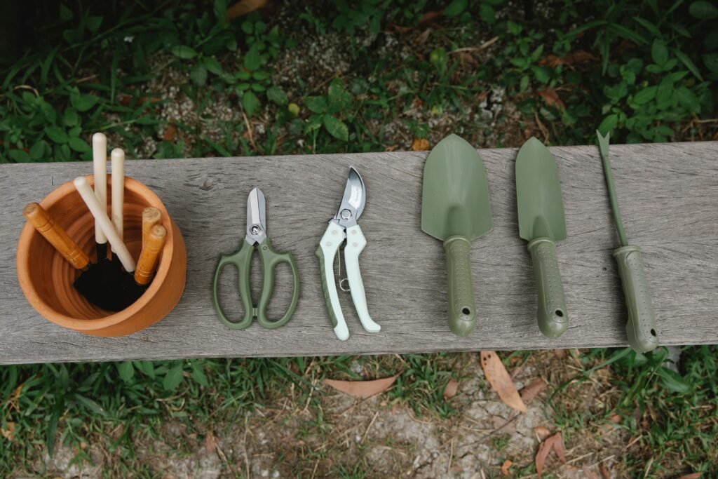 pexels-photo-6231726-6231726 Top view of row of scissors secateurs shovels and tools for loosening soil near pot with instruments on wooden bench in garden